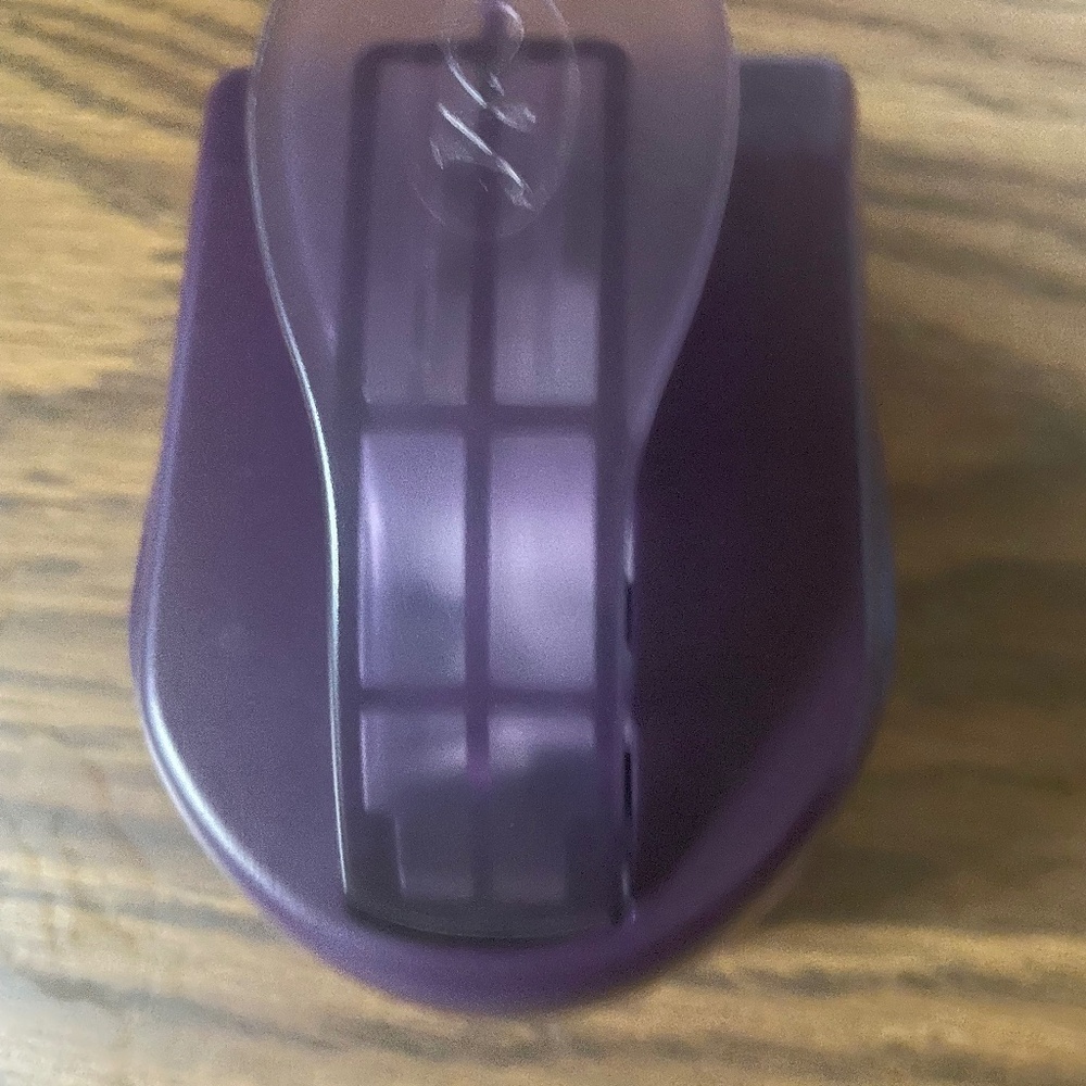 Creative Memories Paisley Punch